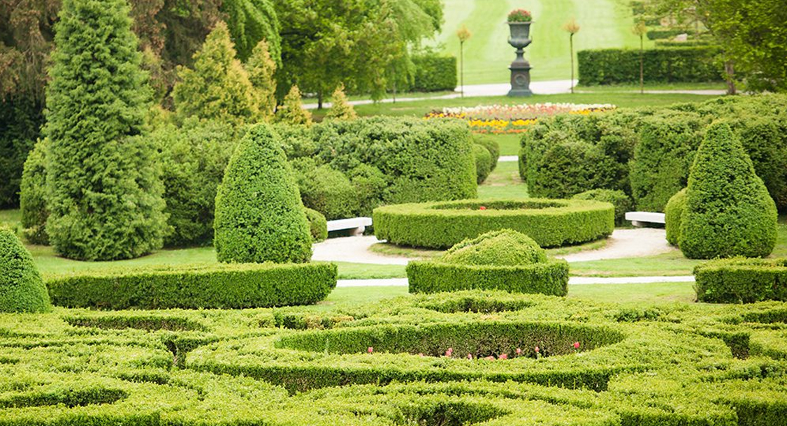 ¿Conoces las características de un jardín francés? Descúbrelo a continuación