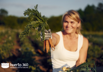 Huerto360, la primera plataforma gratuita que fomenta la agricultura urbana