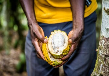 Oikocredit apuesta por la inclusión financiera para preservar el futuro del cacao