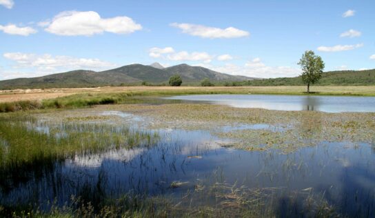 La Junta de Comunidades asigna a ADEL los fondos con los que gestionará el periodo 2023-2027