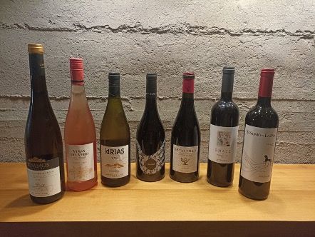 Sabores exquisitos y maridajes perfectos: la selección de vinos en restaurante Carmen resalta los sabores de sus platos