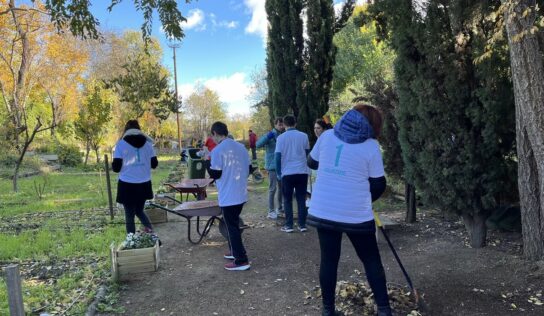 El 65% de las empresas cuenta con un programa de voluntariado corporativo alineado con el negocio, según la Fundación Adecco