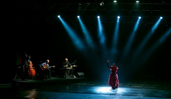 El Comité de Iniciativa ‘Andalucía: Historia y Civilización’ concluye con éxito la ‘Noche Flamenca’