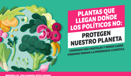 Veganuary: una década acompañando a quienes quieren probar el veganismo durante el mes de enero