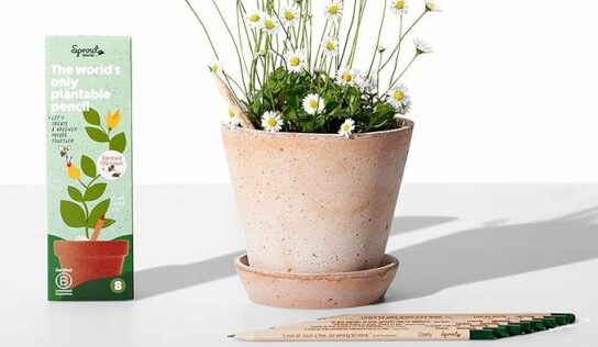 Regalos de San Valentin: SproutWorld propone un regalo romántico renovando su edición de amor para San Valentin: lápices que se convierten en flores de amor