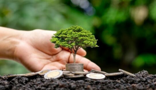 Allianz Soluciones de Inversión amplía su oferta con nuevos fondos con foco en la sostenibilidad