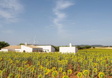 La ‘Casa de Campo’ de Zafra de Záncara (Cuenca), Premio COACM Arquitectura Obra Nueva Vivienda