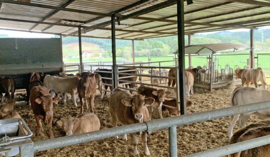 Trece nuevas explotaciones agrícolas en Bizkaia guiadas por LORRA