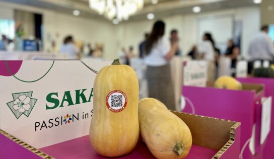 Calabaza nacional 365 días al año, clave para el aumento de consumo y nuevas oportunidades de negocio