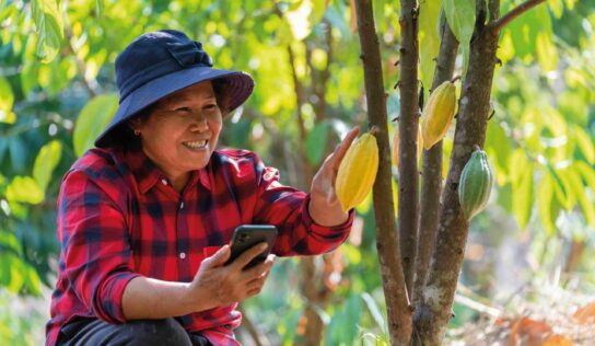 Casi 30.000 empresas de alimentación deberán certificar que sus productos no proceden de zonas deforestadas, según osapiens