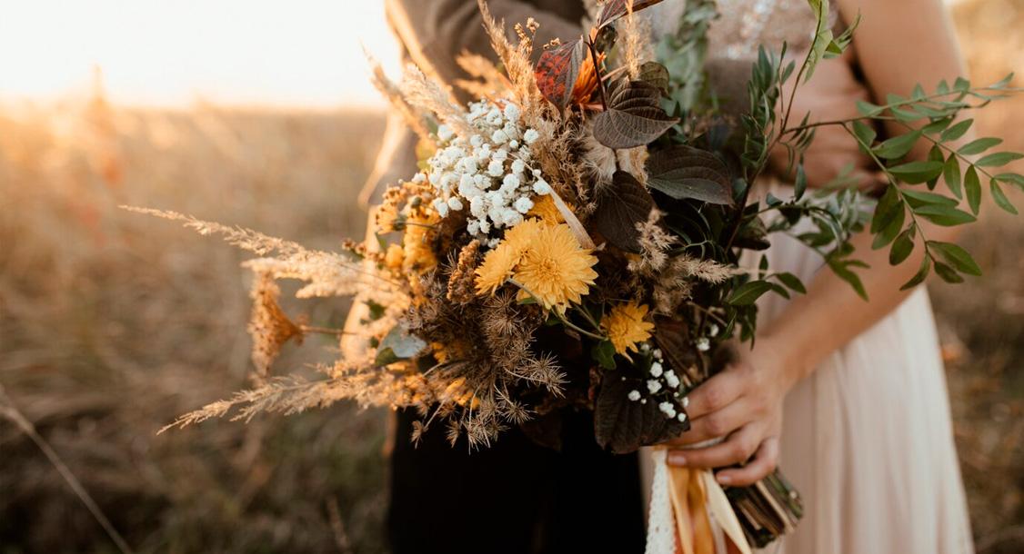 Tendencias en flores secas y vegetacion exuberante