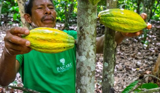 Paccari empresa responsable: prácticas que priorizan el bienestar económico, social y ambiental