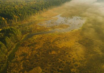 El encanto del otoño lituano: una sinfonía de colores y naturaleza viva