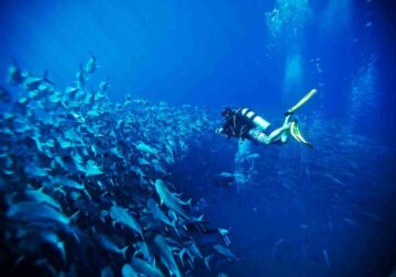 Respirar ‘lujo silencioso’ en Los Cabos: experiencias únicas, personalizadas y en armonía con la naturaleza