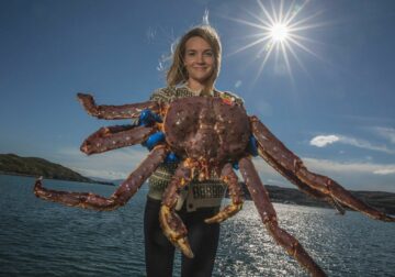 De salmón ahumado a ‘king crab’: Mar de Noruega exhibe sus pescados y mariscos más exquisitos por Navidad