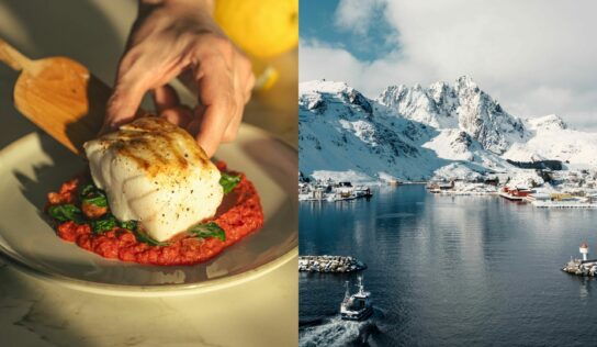 Arranca la campaña más esperada del Skrei, el ‘Rey de los bacalaos’ exclusivo de Noruega