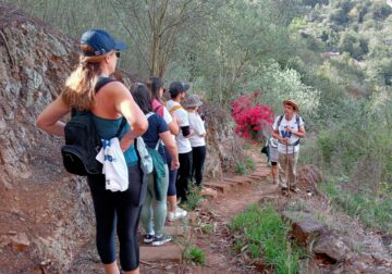 El Turismo Activo y Ecoturismo en Canarias: pilar estratégico para un modelo turístico sostenible
