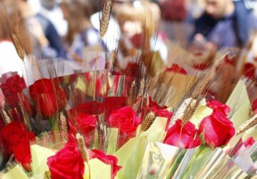 Este 2025 la venta de rosas superará los 7 millones de rosas en Sant Jordi según mayoristaderosas.com