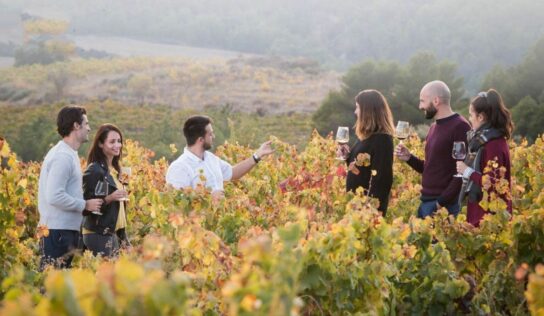 Bodegas Obergo, frescura y elegancia en los vinos blancos del Somontano