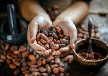 La empresa Areté apunta a una alta volatilidad en el sector agroalimentario con precios récord en café, cacao y aceite de coco