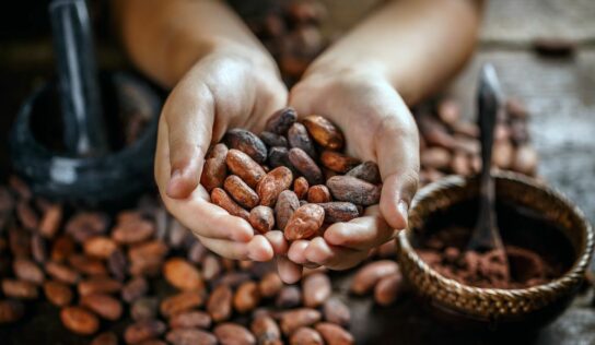 La empresa Areté apunta a una alta volatilidad en el sector agroalimentario con precios récord en café, cacao y aceite de coco