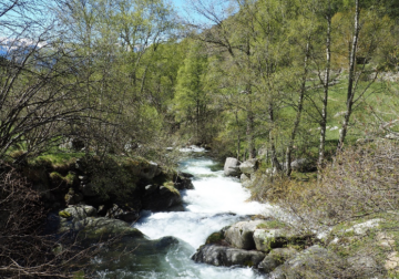 El Grupo Esquirol presenta la primavera en la Cerdanya: naturaleza, aventura y gastronomía