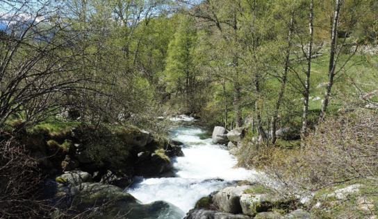 El Grupo Esquirol presenta la primavera en la Cerdanya: naturaleza, aventura y gastronomía