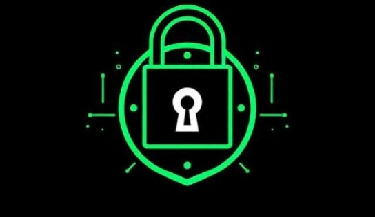 Finnovant y Storage Chain lanzan PhēnixLoc Data Manager, seguridad y almacenamiento descentralizado asequibles