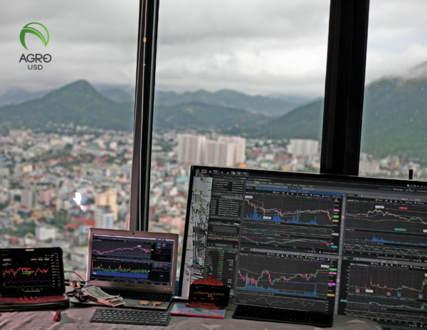 AgroUSD impulsa la inclusión financiera con tecnología blockchain