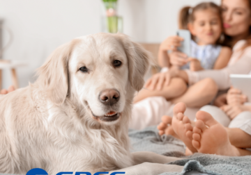 GREE lanza en España su nueva generación de aire acondicionado eficiente, conectado y adaptable