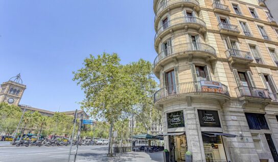Carlos Bajo (Laborde Marcet): La demanda de alquiler y el ‘build to rent’ están revolucionando el empleo inmobiliario