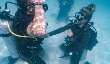 Pura Vida Diving Koh Tao refuerza su liderazgo en formación profesional y conservación marina