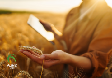 AgroUSD impulsa autonomía financiera en el campo con tecnología diseñada desde la producción