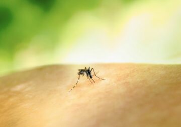 Medidas y remedios para un verano sin picaduras, según Quirón Prevención