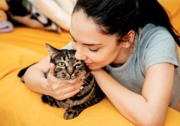 Correduría de Seguros Pueyo destaca la importancia del seguro para mascotas para garantizar su bienestar y protección