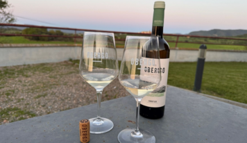 Bodegas Obergo participa en el Festival del Vino Somontano 2025 con nuevas propuestas y ediciones limitadas