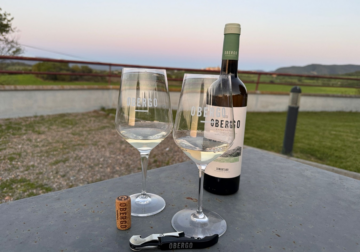 Bodegas Obergo participa en el Festival del Vino Somontano 2025 con nuevas propuestas y ediciones limitadas