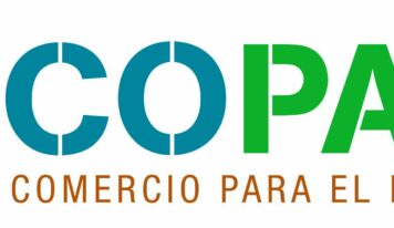 WoodLife: la madera más sostenible del planeta que conecta bosques, personas y futuro