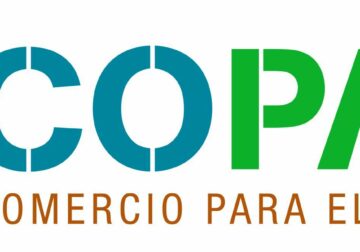 WoodLife: la madera más sostenible del planeta que conecta bosques, personas y futuro