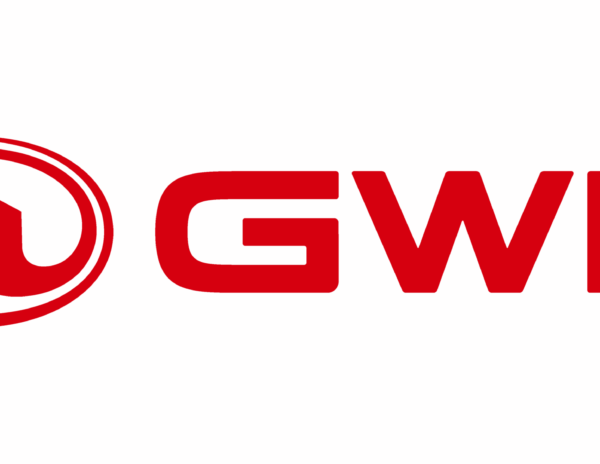 GWM impulsa la innovación local para consolidar una marca automovilística china más sólida mediante un desarrollo de alta calidad