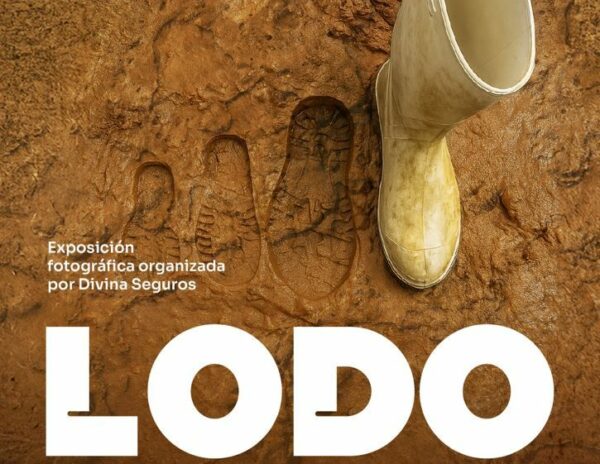 Divina Seguros invita a la ciudadanía a compartir material gráfico de la DANA para una exposición itinerante