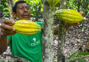 Ecuador se consolida como el destino ideal para los amantes del cacao