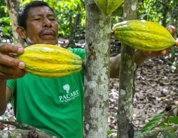 Ecuador se consolida como el destino ideal para los amantes del cacao