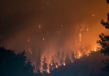 Allianz intensifica su protocolo especial ante los incendios que están asolando parte del país