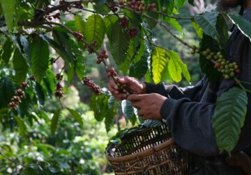El Marketing Intelligence minimiza la volatilidad de los mercados para las empresas