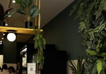 Lettus impulsa su expansión con nuevas aperturas en España