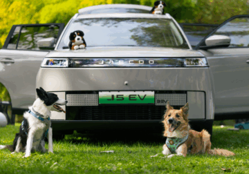 JAECOO presenta cinco consejos para disfrutar con perro en cada viaje