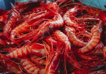 MSC celebra en CONXEMAR 2025 la sostenibilidad de la pesca ibérica y destaca la entrada de la gamba roja de Palamós en su Programa de Mejora