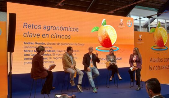 Innovación y sostenibilidad, claves para el futuro de la citricultura ante la amenaza de nuevas plagas