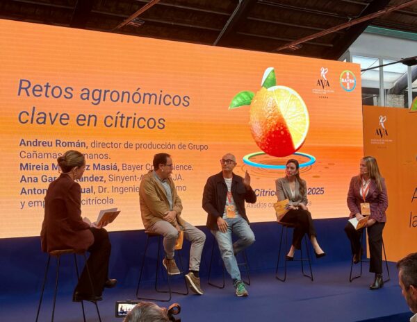 Innovación y sostenibilidad, claves para el futuro de la citricultura ante la amenaza de nuevas plagas